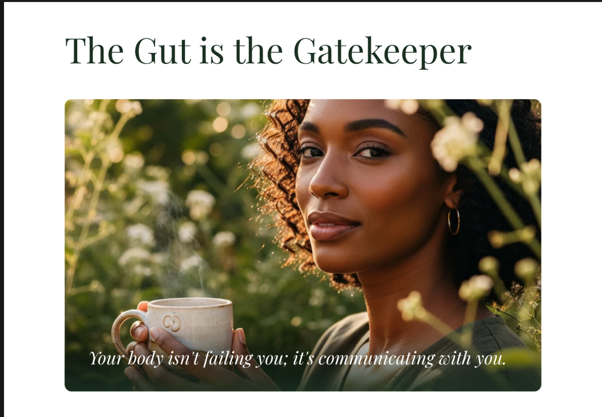 The Gut  First Blueprint