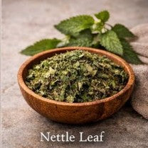 Nettle Leaf (Urtica dioica) — 1 oz
